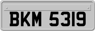 BKM5319