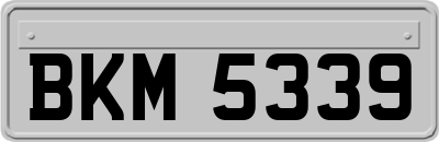BKM5339