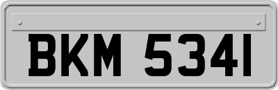 BKM5341
