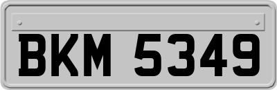 BKM5349
