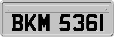 BKM5361