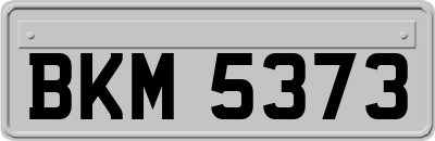 BKM5373