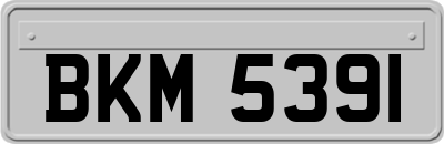 BKM5391