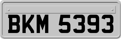 BKM5393