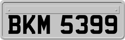 BKM5399
