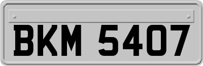 BKM5407