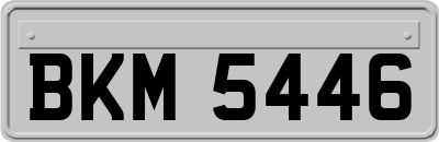 BKM5446
