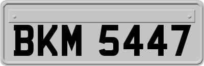 BKM5447