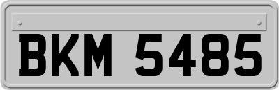 BKM5485