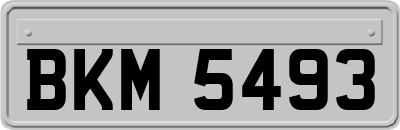 BKM5493