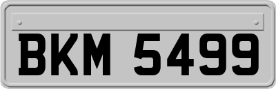 BKM5499