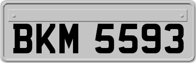 BKM5593