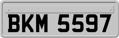 BKM5597