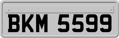 BKM5599