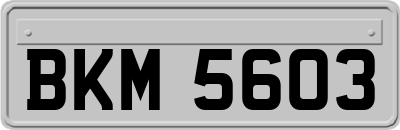 BKM5603