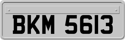 BKM5613