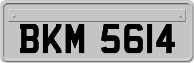 BKM5614