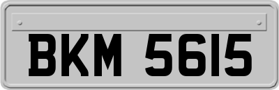 BKM5615