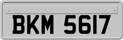 BKM5617
