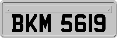 BKM5619