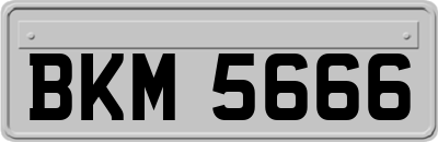 BKM5666