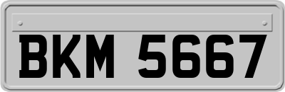 BKM5667