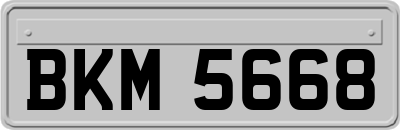 BKM5668