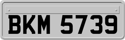 BKM5739