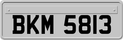 BKM5813