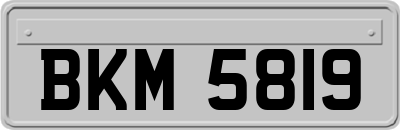 BKM5819