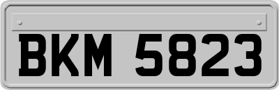 BKM5823