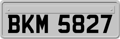 BKM5827