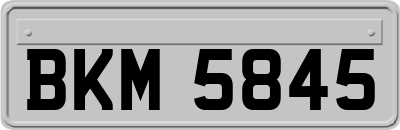 BKM5845