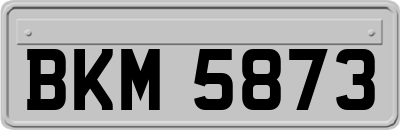 BKM5873