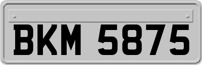 BKM5875