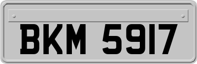 BKM5917