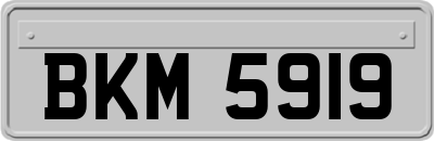 BKM5919