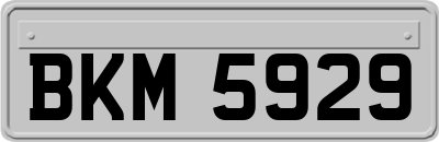 BKM5929