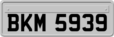 BKM5939