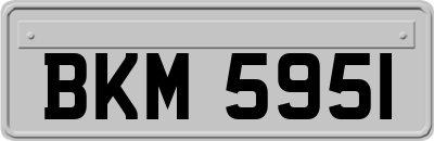 BKM5951