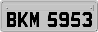 BKM5953