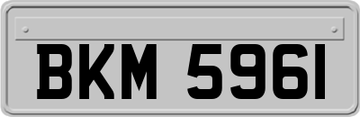 BKM5961