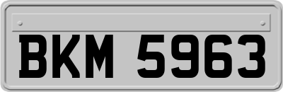 BKM5963