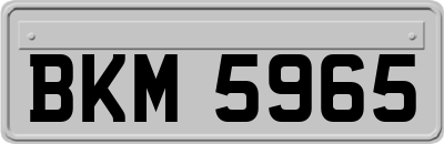BKM5965