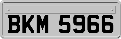 BKM5966