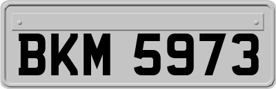 BKM5973