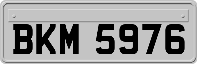BKM5976