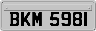 BKM5981