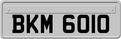 BKM6010