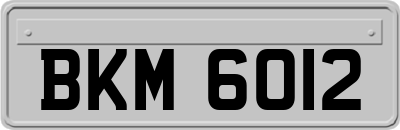 BKM6012